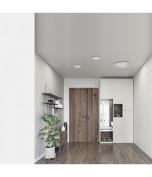 Потолочный cветильник Nowodvorski Organic 8304-foto3