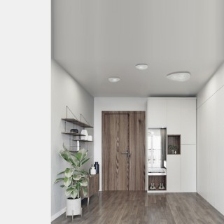 Потолочный cветильник Nowodvorski Organic 8304-foto3