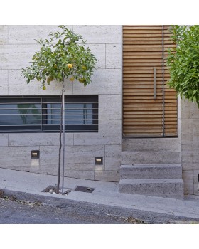 Настенный светильник Azzardo Afi AZ4510-foto2