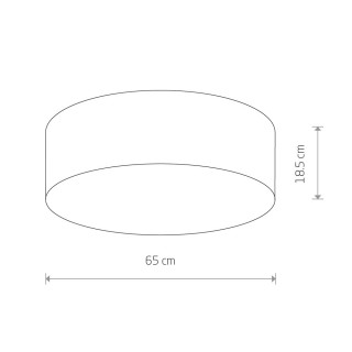 Потолочный cветильник Nowodvorski Cameron 9682-foto2