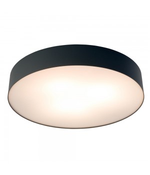 Потолочный cветильник Nowodvorski Arena 10177-foto2