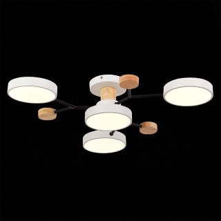 SLE6006-502-04 Светильник потолочный Белый/Белый LED 4*12W 3000K/4500K/6000K FAEMA-foto6