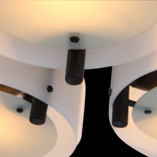 SL483.402.09 Люстра потолочная Черный/Белый E27 9*60W FORESTA-foto6