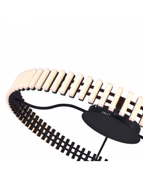 SL6203.402.50 Люстра потолочная ST-Luce Черный/Белый LED 1*50W 3000K ESTENSE-foto4