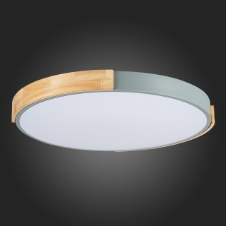 SLE201372-01 Светильник потолочный Серый, Светлое дерево/Белый LED 1*40W 3000K/4000K/6000K DELIA-foto12