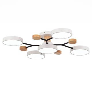 SLE6006-502-05 Светильник потолочный Белый/Белый LED 5*12W 3000K/4500K/6000K FAEMA-foto4