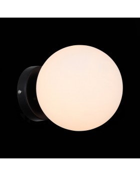 SL717.401.01 Светильник настенно-потолочный Черный/Белый E27 1*40W ACINI-foto4