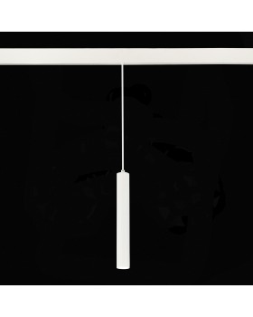 ST377.503.07 Магнитный трековый светильник SMART Белый LED 1*7W 2700K-6500K 630Lm Ra90 36° IP20 D40xH300 48V SKYLINE 48-foto4