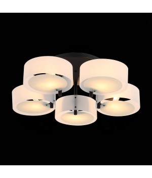 SL483.402.05 Люстра потолочная Черный/Белый E27 5*60W FORESTA-foto3