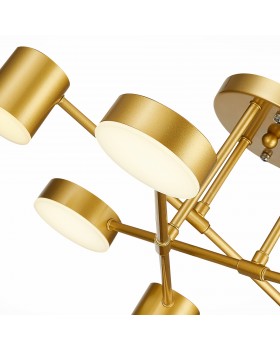 SLE201022-06 Светильник потолочный Золотистый/Золотистый LED 6*7W 4000K NOBEL-foto12