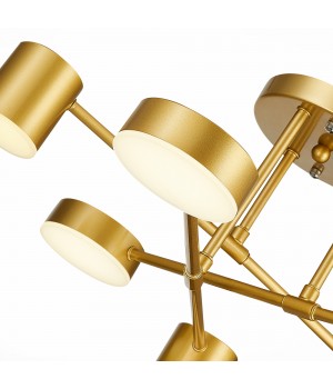 SLE201022-06 Светильник потолочный Золотистый/Золотистый LED 6*7W 4000K NOBEL-foto12