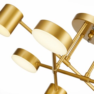 SLE201022-06 Светильник потолочный Золотистый/Золотистый LED 6*7W 4000K NOBEL-foto12