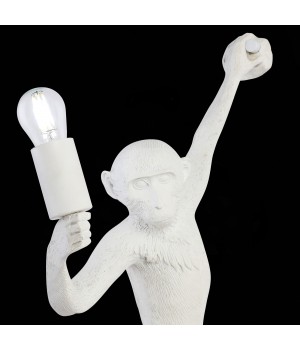 SLE115111-01 Светильник настенный Белый E27 1*60W TENATO-foto6