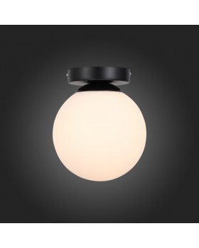 SL717.401.01 Светильник настенно-потолочный Черный/Белый E27 1*40W ACINI-foto5