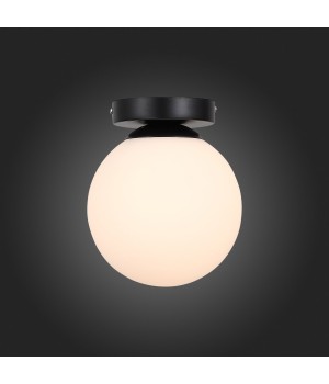 SL717.401.01 Светильник настенно-потолочный Черный/Белый E27 1*40W ACINI-foto5