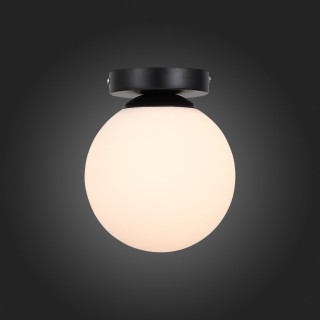 SL717.401.01 Светильник настенно-потолочный Черный/Белый E27 1*40W ACINI-foto5