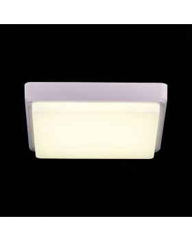 SLE200212-01 Светильник потолочный Белый/Белый LED 1*20W 4000K TADDIO-foto6