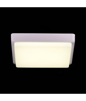 SLE200212-01 Светильник потолочный Белый/Белый LED 1*20W 4000K TADDIO-foto6