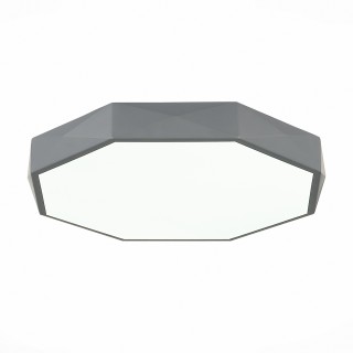 SLE200872-01 Светильник потолочный Серый/Белый LED 1*45W 3000K/4000K/6000K RONDO-foto11