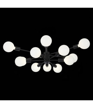 SL419.402.12 Люстра потолочная Черный E27 12*60W ANO-foto22