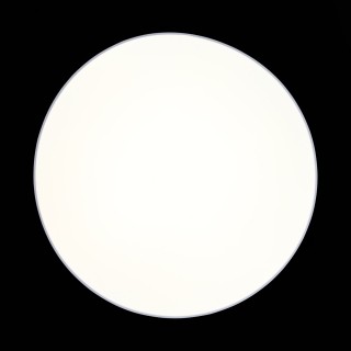 SL417.512.01 Люстра потолочная ST-Luce Белый/Белый LED 1*60W 3000K/4000K/6000K FELLA-foto6