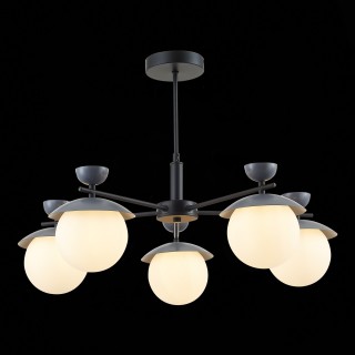 SLE220202-05 Светильник потолочный Черный, Серый/Белый G9 5*5W GENOVA-foto4