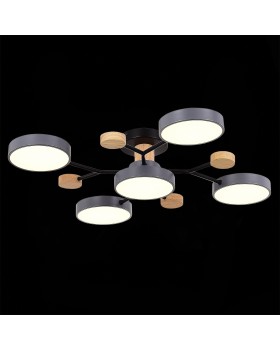 SLE6006-702-05 Светильник потолочный Серый/Серый LED 5*12W 3000K/4500K/6000K FAEMA-foto6