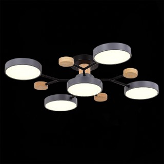 SLE6006-702-05 Светильник потолочный Серый/Серый LED 5*12W 3000K/4500K/6000K FAEMA-foto6