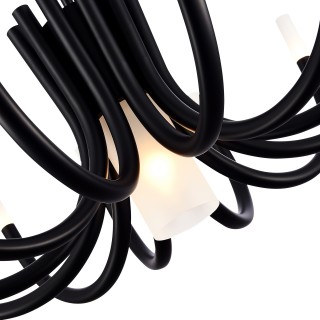 SL1173.402.13 Люстра потолочная ST-Luce Черный/Черный G4/E27 12+1*5+60W PAFE-foto4
