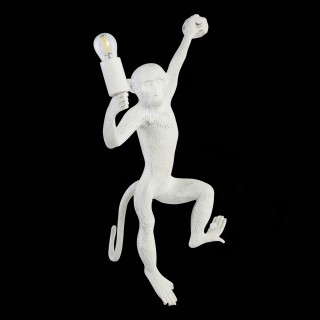 SLE115111-01 Светильник настенный Белый E27 1*60W TENATO-foto5