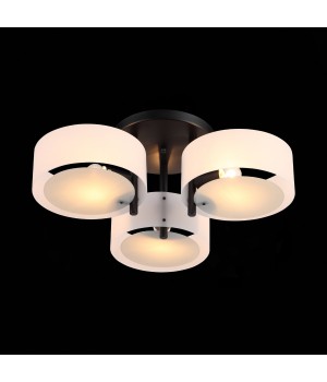 SL483.402.03 Люстра потолочная Черный/Белый E27 3*60W FORESTA-foto9