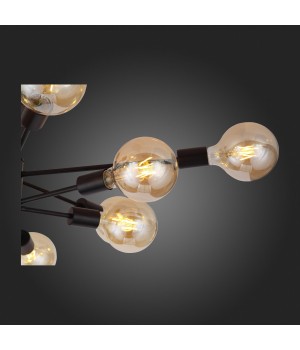 SL419.402.12 Люстра потолочная Черный E27 12*60W ANO-foto10