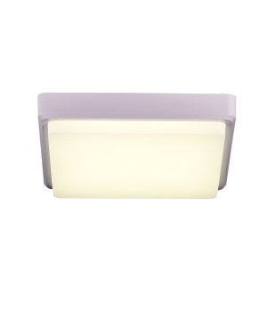 SLE200212-01 Светильник потолочный Белый/Белый LED 1*20W 4000K TADDIO-foto3