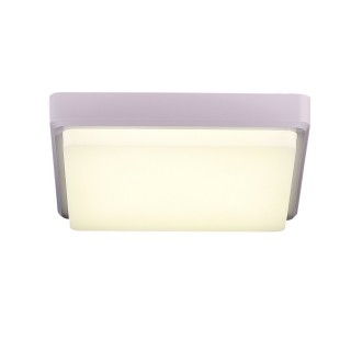 SLE200212-01 Светильник потолочный Белый/Белый LED 1*20W 4000K TADDIO-foto3