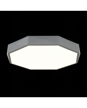 SLE200872-01 Светильник потолочный Серый/Белый LED 1*45W 3000K/4000K/6000K RONDO-foto9