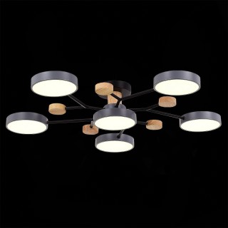 SLE6006-702-06 Светильник потолочный Серый/Серый LED 6*12W 3000K/4500K/6000K FAEMA-foto6