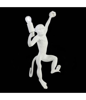 SLE115111-01 Светильник настенный Белый E27 1*60W TENATO-foto4