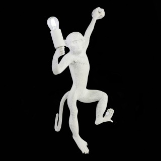 SLE115111-01 Светильник настенный Белый E27 1*60W TENATO-foto4