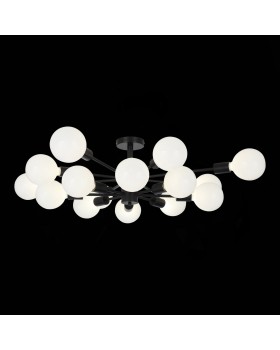 SL419.402.16 Люстра потолочная Черный E27 16*60W ANO-foto23