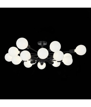 SL419.402.16 Люстра потолочная Черный E27 16*60W ANO-foto23