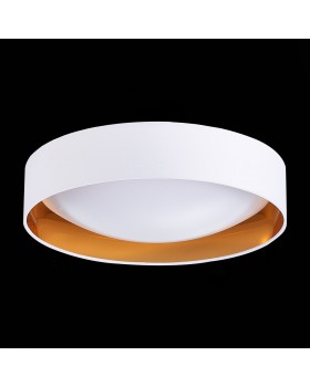 SLE201122-01 Светильник потолочный Белый, Золото/Белый LED 1*24W 4000K ORBIO-foto4