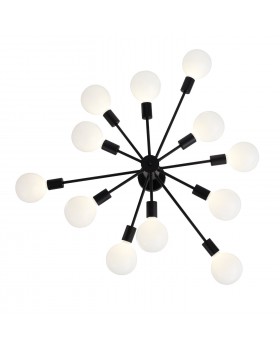 SL419.402.12 Люстра потолочная Черный E27 12*60W ANO-foto16