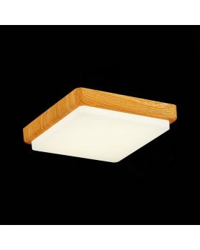SLE200202-01 Светильник потолочный Светло-коричневый/Белый LED 1*20W 4000K TADDIO-foto4