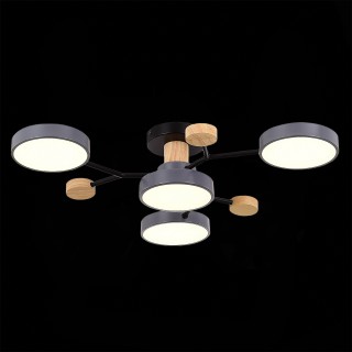 SLE6006-702-04 Светильник потолочный Серый/Серый LED 4*12W 3000K/4500K/6000K FAEMA-foto6