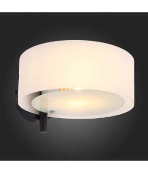 SL483.401.01 Бра Черный/Белый E27 1*60W FORESTA-foto9