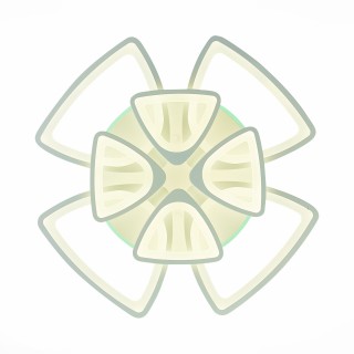 SLE501152-08RGB Светильник потолочный Белый/Белый LED 1*216W RGB 11W 3000-6000K LOBULI-foto5