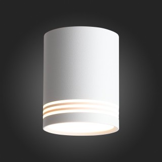 ST101.502.12 Светильник потолочный Белый LED 1*12W 3000K 936Lm Ra>80 120° IP20 D79xH100 170-240V Накладные светильники-foto5