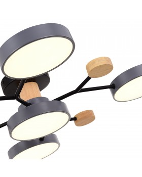 SLE6006-702-05 Светильник потолочный Серый/Серый LED 5*12W 3000K/4500K/6000K FAEMA-foto5