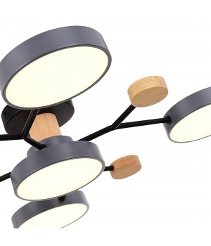 SLE6006-702-05 Светильник потолочный Серый/Серый LED 5*12W 3000K/4500K/6000K FAEMA-foto5