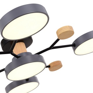 SLE6006-702-05 Светильник потолочный Серый/Серый LED 5*12W 3000K/4500K/6000K FAEMA-foto5